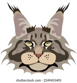 Maine Coon cat face. Vector portrait of a cat's head on a white background. The muzzle of an animal of the feline genus.