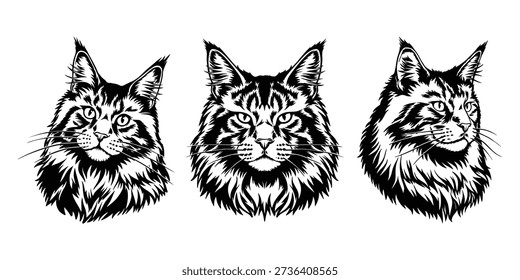Maine Coon cat head illustration, black and white longhair cat portrait