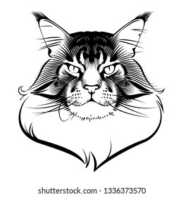 Maine Coon Cat ink graphic rendered in vector, tattoo design