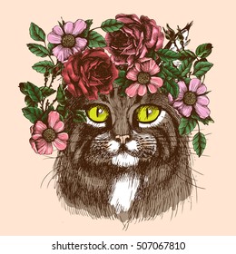 Maine coon cat portrait with floral wreath. Hand drawn vector illustration. Fashion animal for your design.