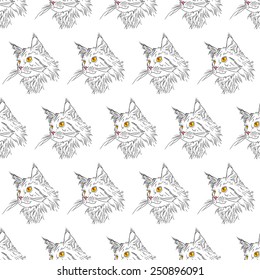 Maine coon cat portrait. Hand drawn vector illustration. Pet seamless pattern background