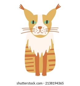 Maine Coon Cat portrait on isolated background. Vector illustration.
