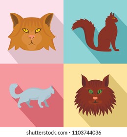 Maine coon cat profile icons set. Flat illustration of 4 maine coon cat profile vector icons for web