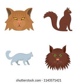 Maine coon cat profile icons set. Flat illustration of 4 maine coon cat profile vector icons isolated on white