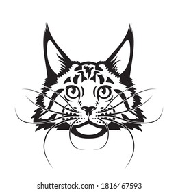 Maine Coon cat vector illustration