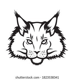 Maine Coon cat vector illustration
