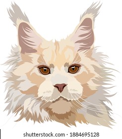 Maine Coon cat vector illustration. Portrait