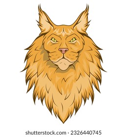 Maine Coon cat. Vector illustration of a Kitten ginger. Illustration for cat cattery, pet shop, pet hotel