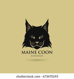 Maine Coon cat - vector illustration