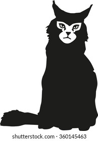 Maine coon with face