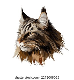 Maine Coon face portrait from multicolored paints. Splash of watercolor, colored drawing, realistic cat. Vector illustration of paints