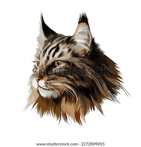 Maine Coon face portrait from multicolored paints. Splash of watercolor, colored drawing, realistic cat. Vector illustration of paints