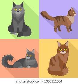 Maine coon icons set. Flat set of maine coon vector icons for web design