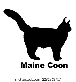 Maine Cooncat silhouette, vector, cat breeds, pet, animals cat.