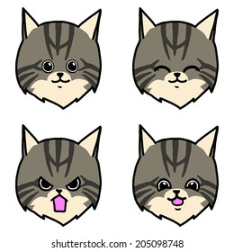 Mainecoon cat emotion face