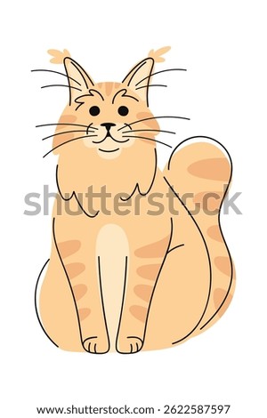 Maine-Coon cat hand drawn doodle