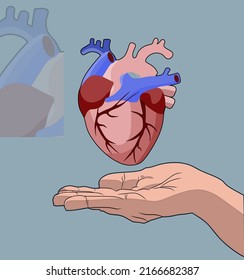 die Gesundheit mit regelmäßiger Bewegung zu erhalten, von denen eines die Gesundheit der Organe des Körpers ist, nämlich der Leber.