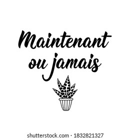 Maintenant ou jamais. French lettering. Translation from French - Now or never. Element for flyers, banner and posters. Modern calligraphy. Ink illustration