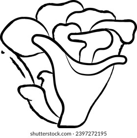 Maitake Mushroom hand drawn vector illustration