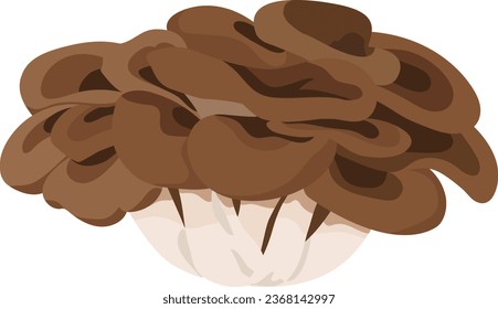 Maitake Mushroom Hen-of-the-Woods-handgezeichnete Vektorgrafik