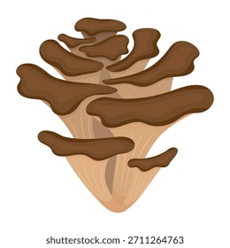 Maitake mushroom vector illustration isolated on white background
