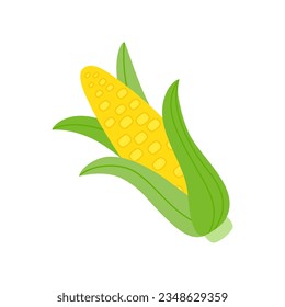 Maize cob. Flat style. Vector illustration 