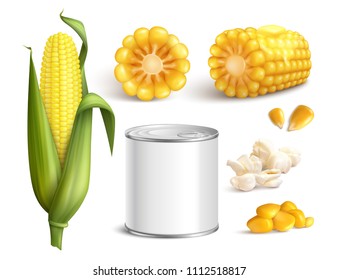 Maize in cob with green leaves, grains, pop corn, canned product, realistic set isolated vector illustration  