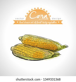 Maize Collection of fresh vegetables with leaf. Vector illustration. Isolated