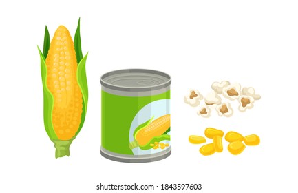 Maize or Corn as Cereal Grain with Yellow Kernels or Seeds Vector Set