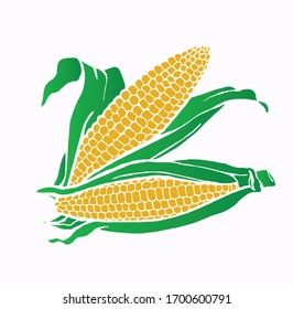 maize corn food vector illustration.