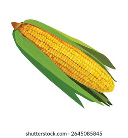 Milho Milho ilustração sobre fundo branco vol 01