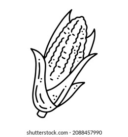 Maize Corn linear cartoon vector icon in doodle style, autumn Vegetable Harvest