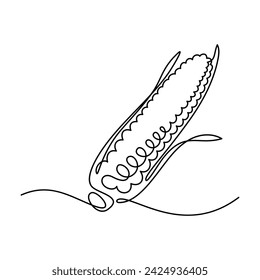 Maize ear in continuous line art drawing style. Corn cob black linear sketch isolated on white background. Vector illustration