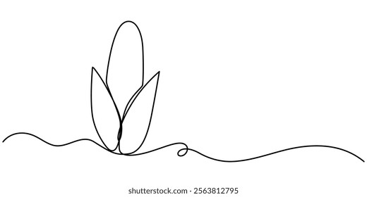 Maize ear in continuous line art drawing style. Corn cob black linear sketch isolated on white background. Vector illustration, Continuous one line drawing of corn icon in silhouette on a white back. 