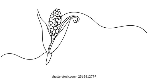 Maize ear in continuous line art drawing style. Corn cob black linear sketch isolated on white background. Vector illustration, Continuous one line drawing of corn icon in silhouette on a white back. 