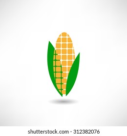 Maize icon