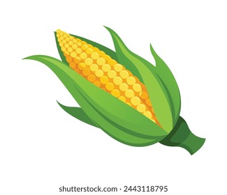 Maize isolated flat vector illustration on white background.