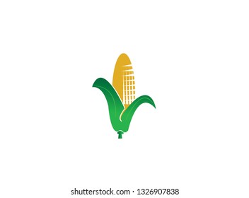 Maize with leaves to make corn for logo design