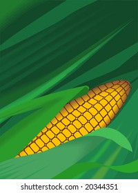 maize with petals open in floral background	