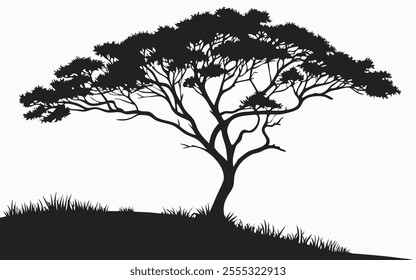 A majestic acacia tree stands tall against a white background, its silhouette casting a striking contrast. Delicate grasses frame the base, adding depth to the scene.