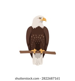Majestic Bald Eagle Perched