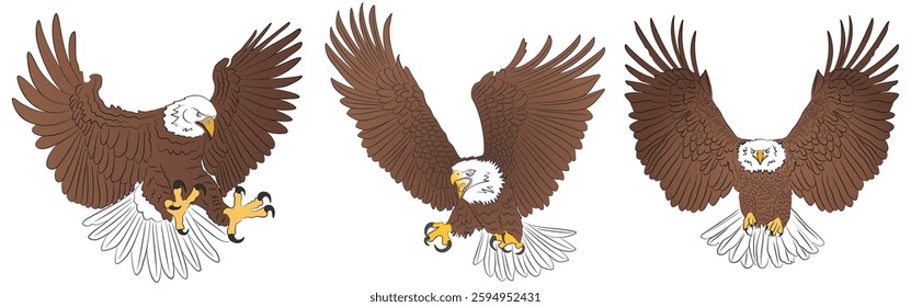 Majestic Bald Eagles in Flight — Detailed Vector Illustration