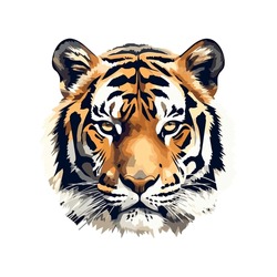 Majestic Bengal Tiger Over White