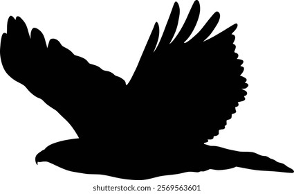 Majestic bird of prey in flight, captured in a striking silhouette.