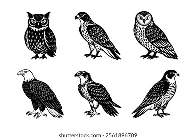 Majestic Birds of Prey Silhouette Bundle – Bald Eagle, Red-tailed Hawk, Snowy Owl, Osprey, Peregrine Falcon, Great Horned Owl