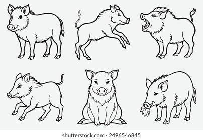 Majestic Boar Line Art Collection