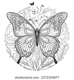 A majestic Butterfly illustration in a stylish composition. Adult coloring book pages made freehand with doodle and zentangle elements., Vector  illustration