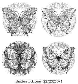 A majestic Butterfly illustration in a stylish composition. Adult coloring book pages made freehand with doodle and zentangle elements., Vector  illustration