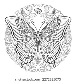 A majestic Butterfly illustration in a stylish composition. Adult coloring book pages made freehand with doodle and zentangle elements., Vector  illustration