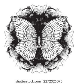 A majestic Butterfly illustration in a stylish composition. Adult coloring book pages made freehand with doodle and zentangle elements., Vector  illustration